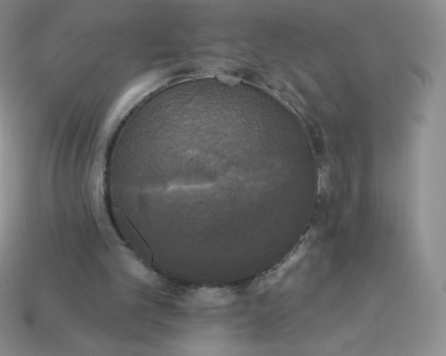 X0000113920101200910151448