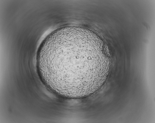 X0000113920102200910151448