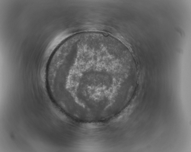 X0000113920103200910151448