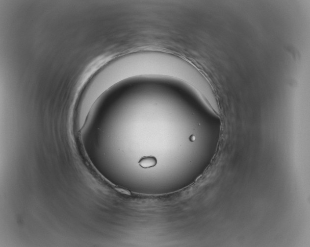 X0000113920104200910151448