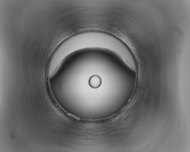 X0000113920105200910151448