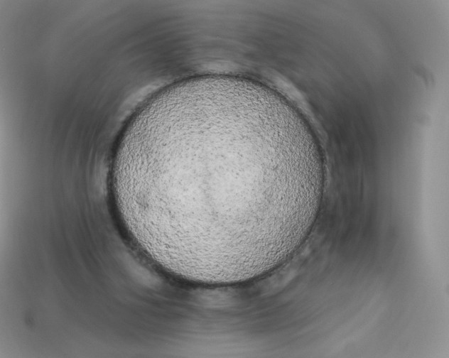 X0000113920106200910151448