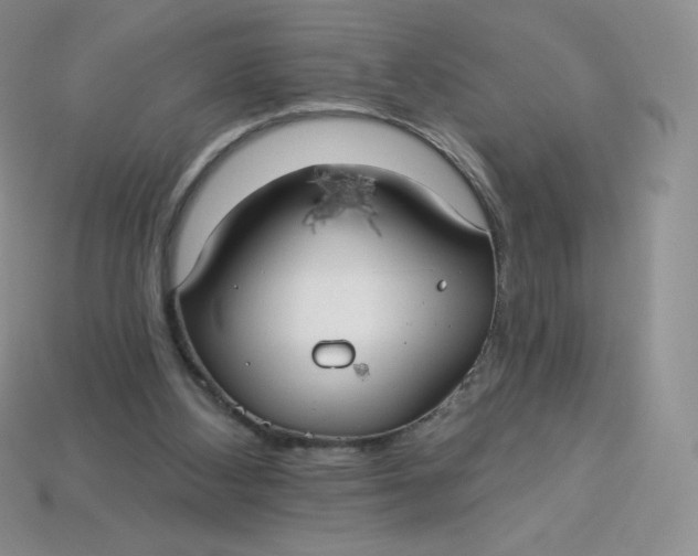 X0000113920108200910151448