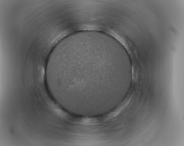 X0000113920109200910151448
