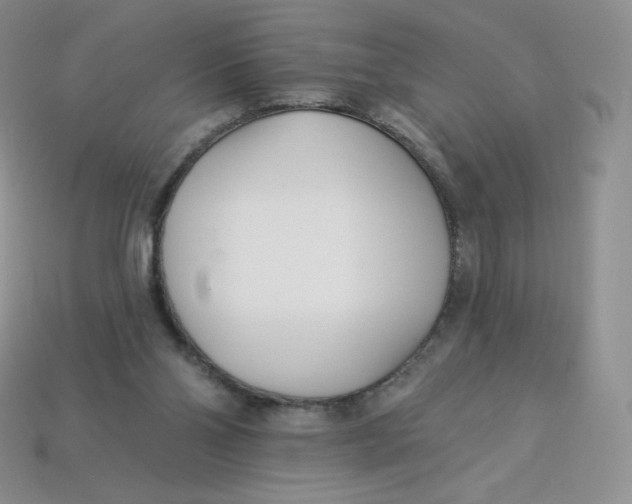 X0000113920110200910151448