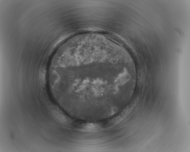 X0000113920111200910151448