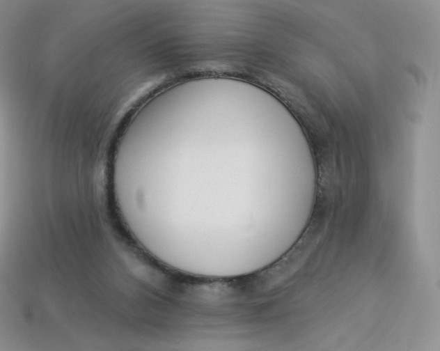 X0000113920112200910151448