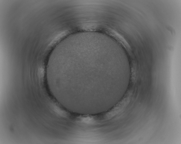 X0000113920113200910151448