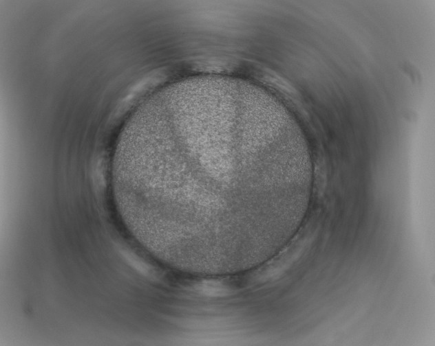X0000113920114200910151448