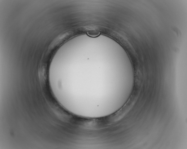 X0000113920116200910151448