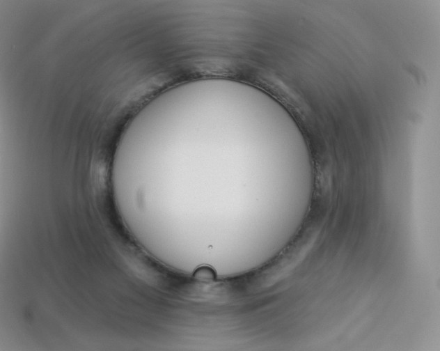 X0000113920117200910151448
