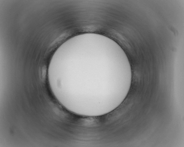 X0000113920118200910151448