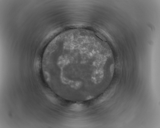 X0000113920119200910151448