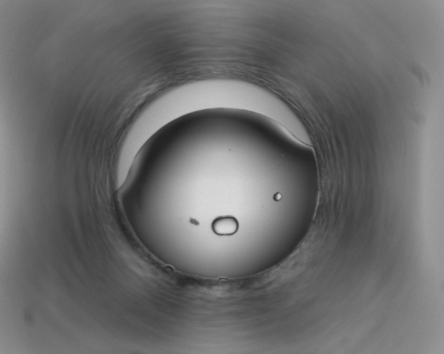 X0000113920120200910151448