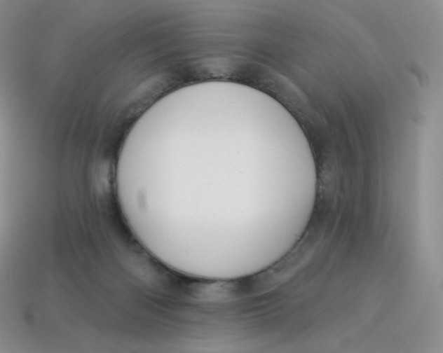 X0000113920122200910151448