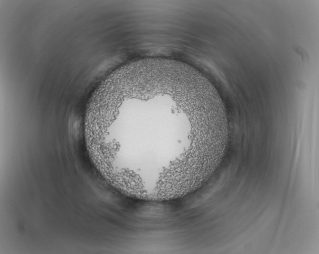 X0000113920123200910151448