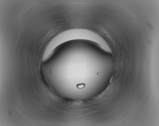 X0000113920124200910151448