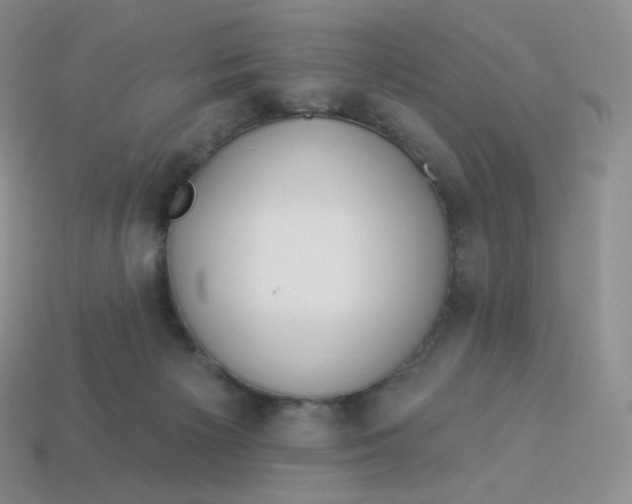 X0000113920125200910151448