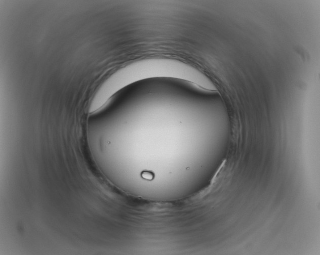X0000113920128200910151448