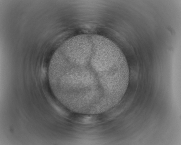 X0000113920130200910151448