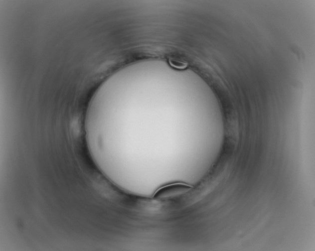 X0000113920131200910151448