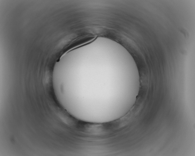 X0000113920132200910151448