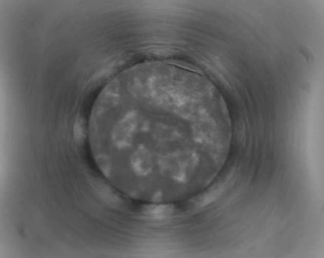 X0000113920135200910151448