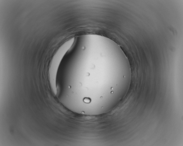 X0000113920137200910151448