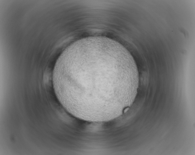 X0000113920138200910151448