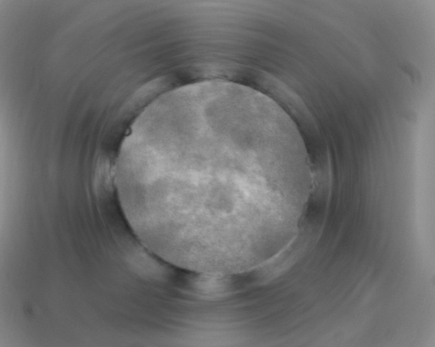 X0000113920142200910151448