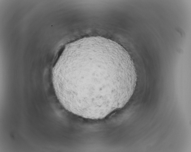 X0000113920144200910151448