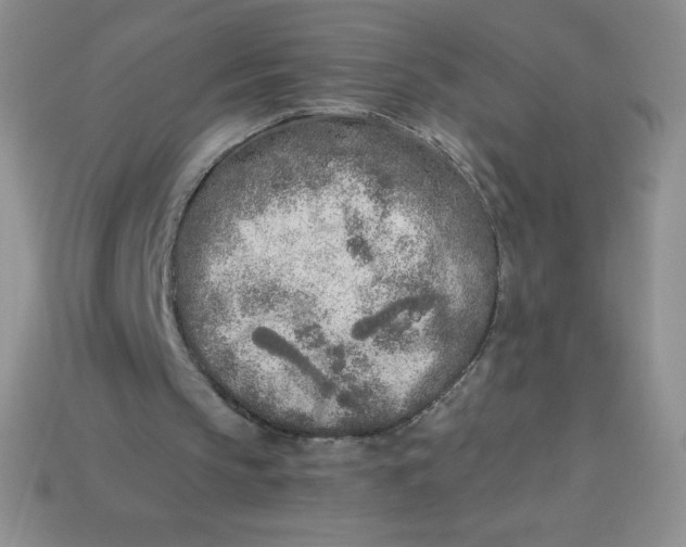 X0000113920145200910151447