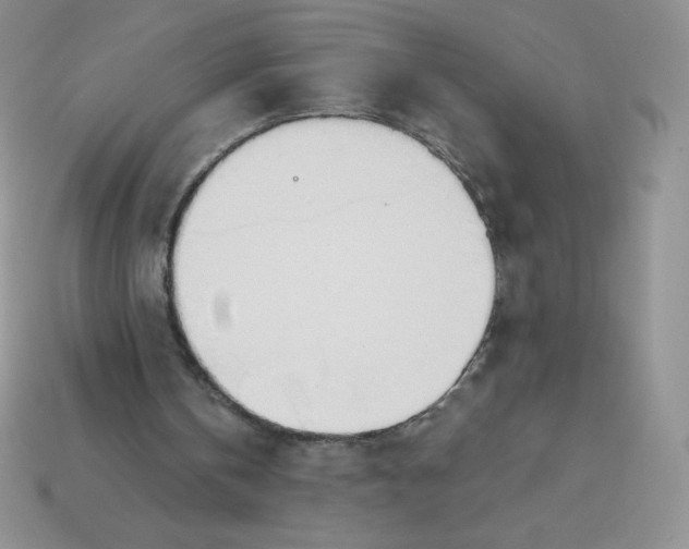 X0000113920146200910151447