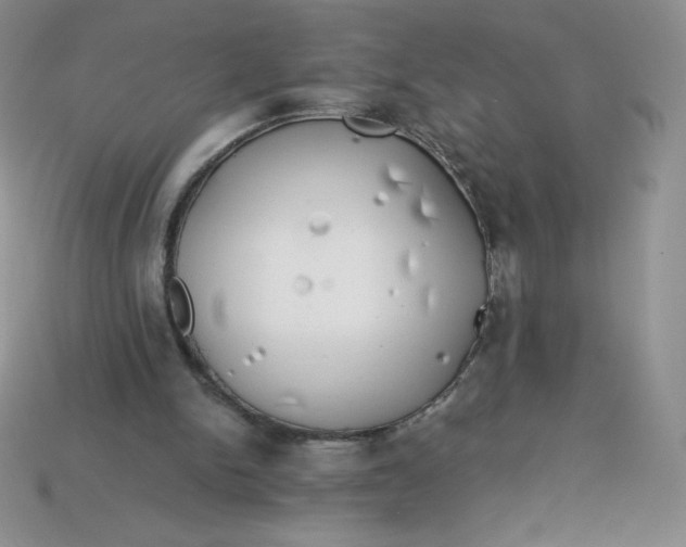 X0000113920150200910151447