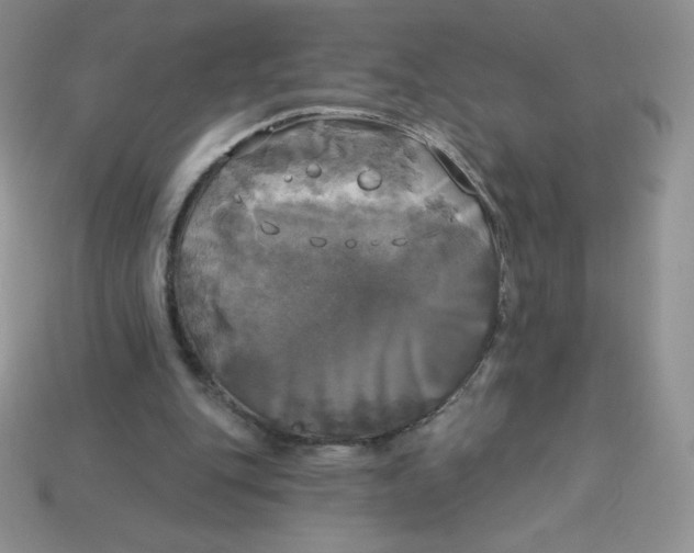 X0000113920151200910151447