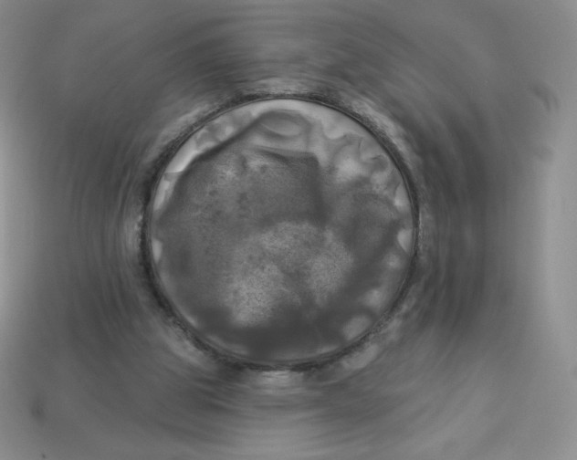 X0000113920153200910151447
