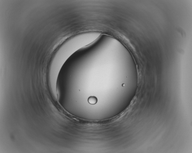 X0000113920154200910151447