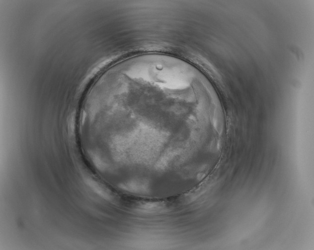 X0000113920155200910151447