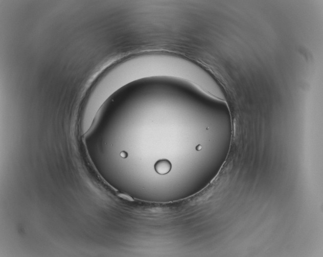 X0000113920156200910151447