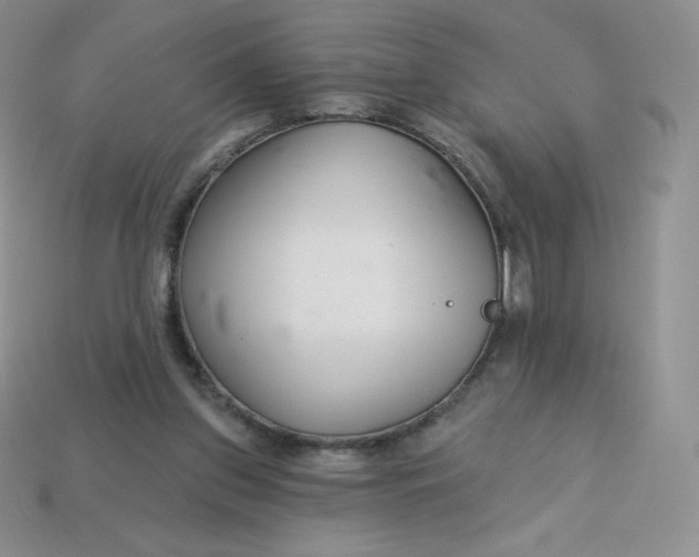 X0000113920157200910151447
