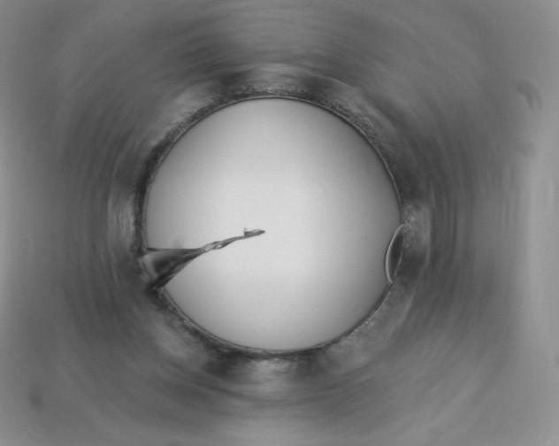 X0000113920158200910151447