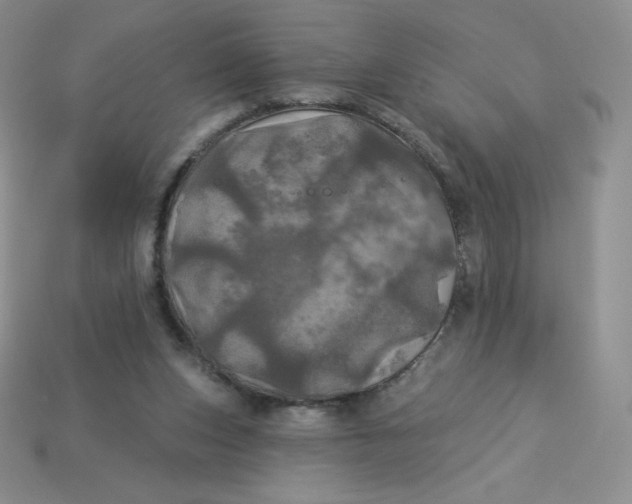X0000113920159200910151447