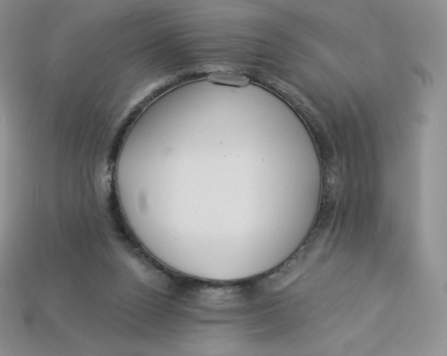 X0000113920160200910151447