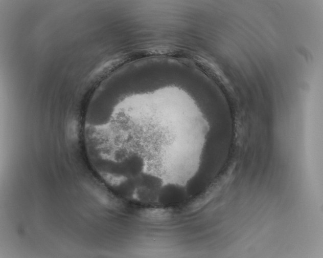 X0000113920161200910151447