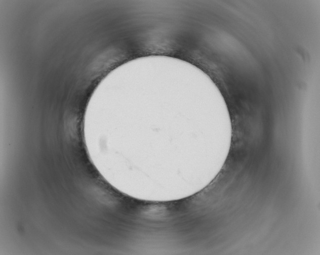 X0000113920162200910151447