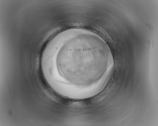 X0000113920163200910151447