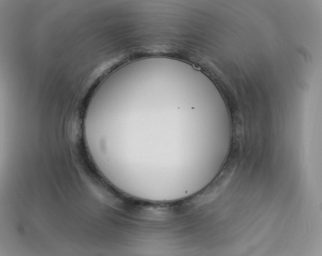 X0000113920164200910151447