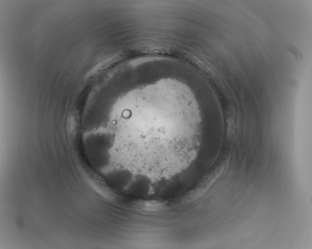 X0000113920165200910151447