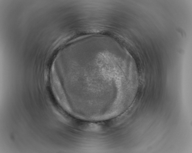 X0000113920166200910151447