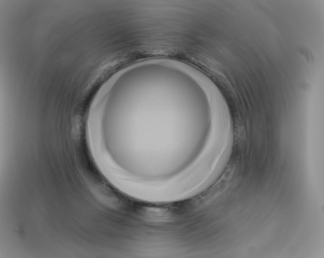 X0000113920167200910151447